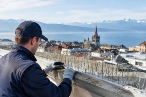 Entreprise de dépigeonnage à lausanne : quels critères pour bien choisir